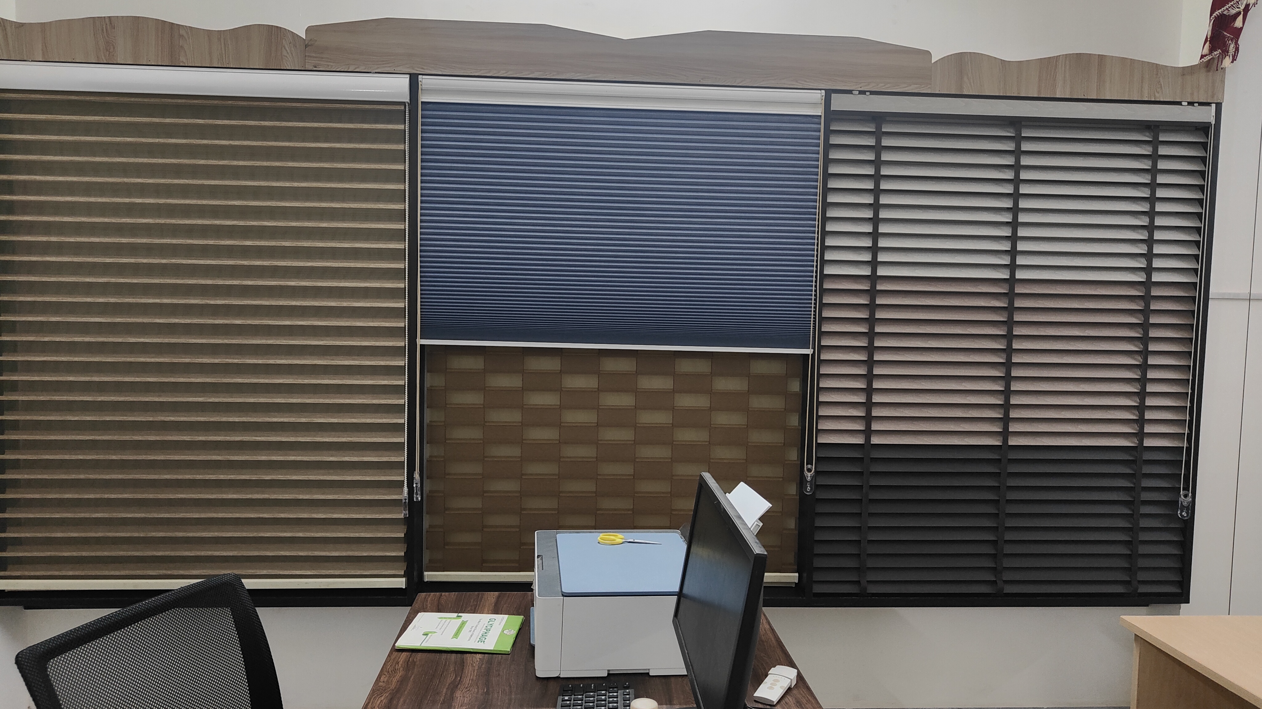 Gokulux Window Blinds